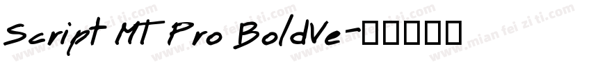 Script MT Pro BoldVe字体转换